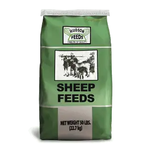 Hudson Feed - Sheep Feed 50 lb.